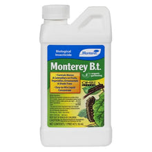 Load image into Gallery viewer, Monterey B.t.