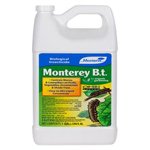 Load image into Gallery viewer, Monterey B.t.