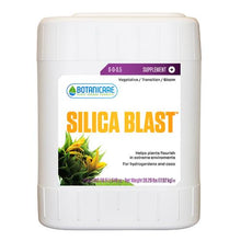 Load image into Gallery viewer, Botanicare® Silica Blast
