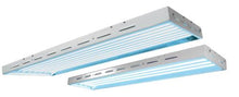 Load image into Gallery viewer, Sun Blaze T5 HO 48 - 4 ft 8 Lamp - 240 Volt