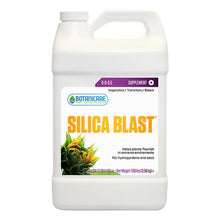 Load image into Gallery viewer, Botanicare Silica Blast Quart (12/Cs)