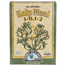 Load image into Gallery viewer, Down To Earth Kelp Meal  1 - 0.1 - 2
