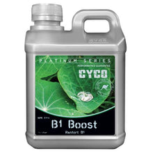 Load image into Gallery viewer, CYCO B1 Boost  2 - 1 - 4
