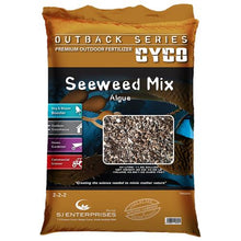 Load image into Gallery viewer, CYCO Outback Series Seeweed
