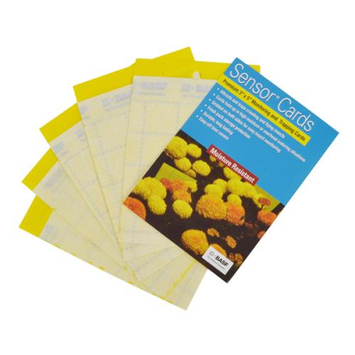 Sensor Yellow Monitoring Cards 50/Pack (15/Cs)