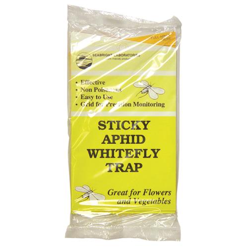 Sticky Whitefly Trap 5/Pack
