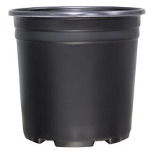 Load image into Gallery viewer, Thermoformed Nursery Pot 3 Gallon
