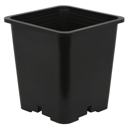 Gro Pro Premium 9in Black Square Pot 9 in x 9 in x 10.5 in (100/Cs)