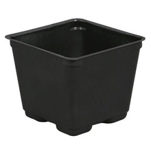 Load image into Gallery viewer, Square Plastic Pot Black 4 in (880/Cs)
