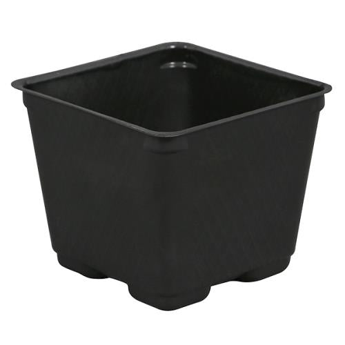 Square Plastic Pot Black 4 in (880/Cs)